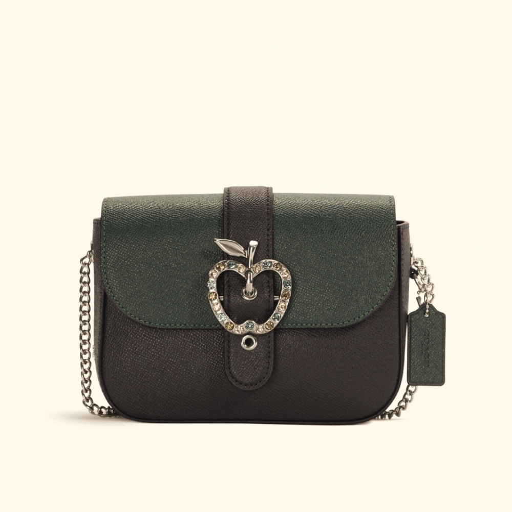 Coach Gemma Crossbody In Colorblock With Apple Buckle